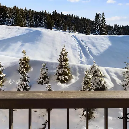 Ariondaz Heliantheme - Pour 6 Personnes Expose Sud Mae-8931 *